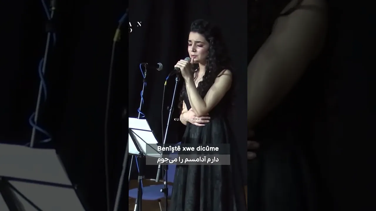 هاوا هات‌و هاوا چو 😍#kurd #music #kurdistan #کورد #کچی کورد #کوردی #کوردستان #موزیک