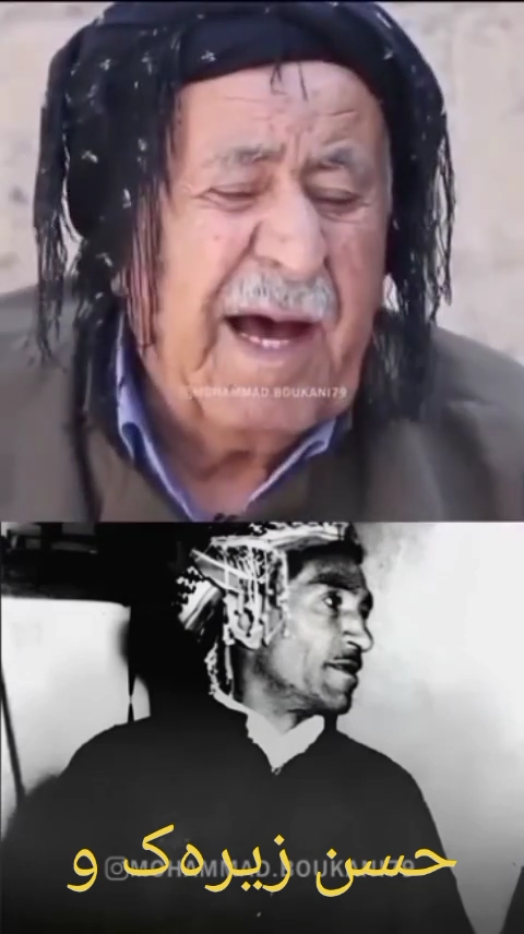 TikTok video #7435133531862650119