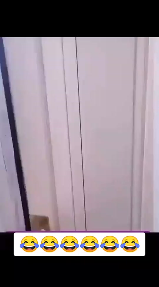 #fyp 7377660115249319176