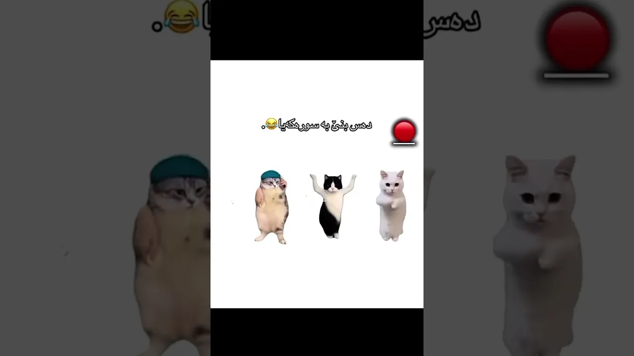 بەتەمای جيی بوويی🥱😂ئێرە يوتوبە دڵە #foryou