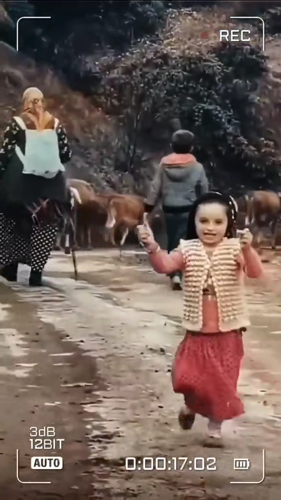 #قوتەگیان #کۆمیدی #کەرکوک هەولێر سلێمانی کۆیە دهۆک #فۆڵۆمان بکەن بۆ ب...