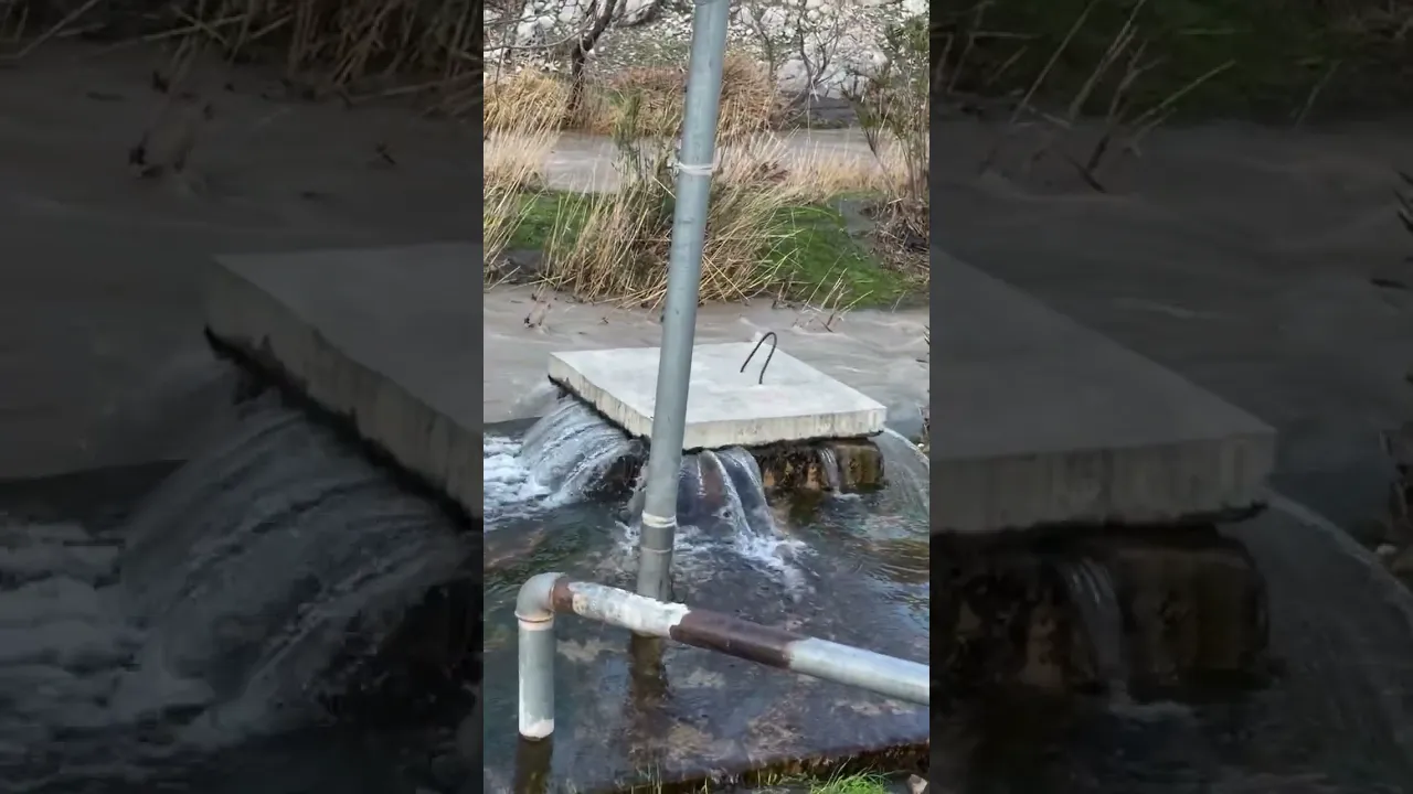 سروشتی جوانی کوردستان