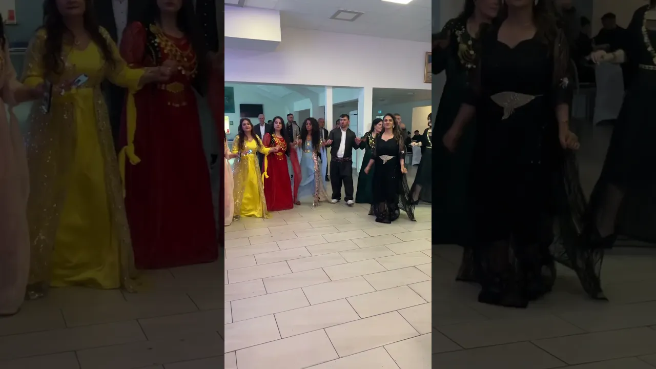 #kurdishculture #kurdishwedding #kurdishweddingdance #halparke #kurdish #sweden #iran #iraq #kurdi