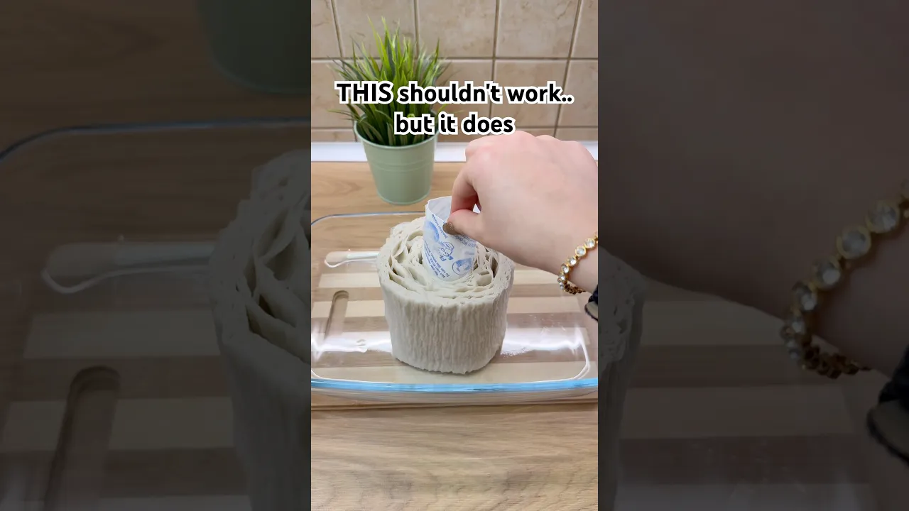 Toilet Paper Hack That Actually Works✅#reallifehacks