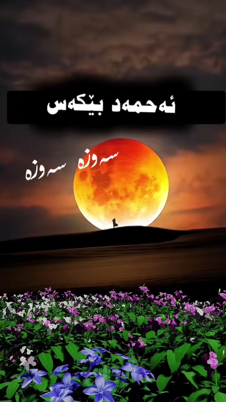 #duett med @Azad Dara #گۆرانی کوردی #گۆرانی کوردی #Duett #mehabad #ku...