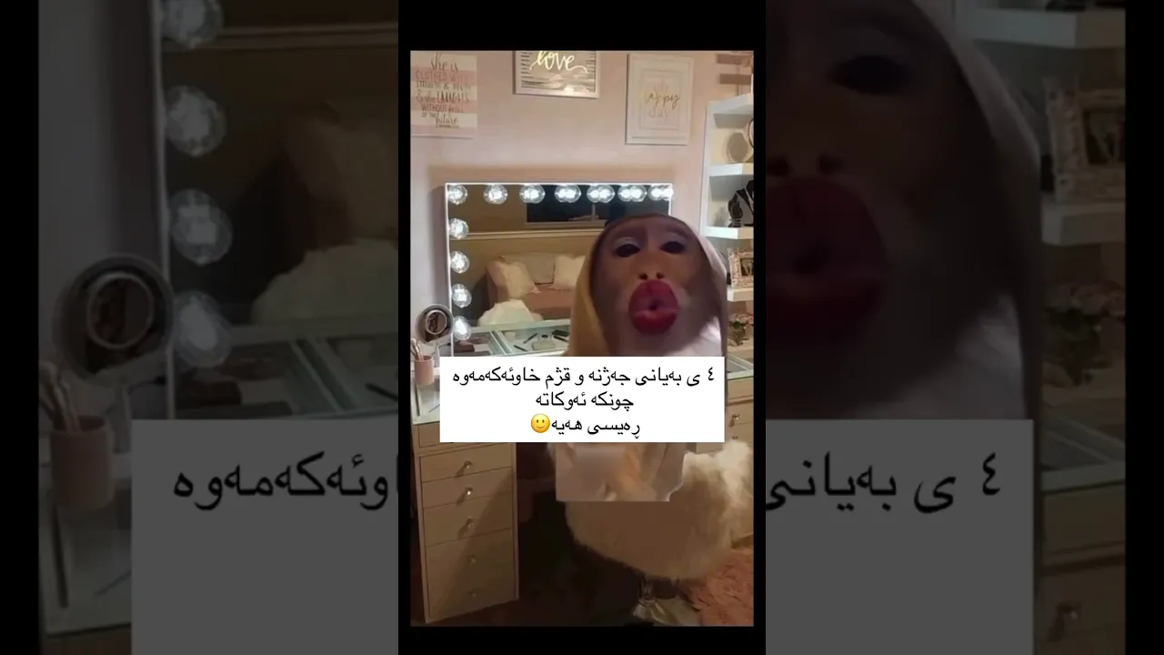 ڕێکـ😂🦦