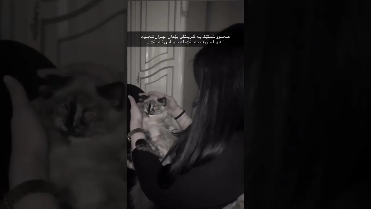 ..🖤