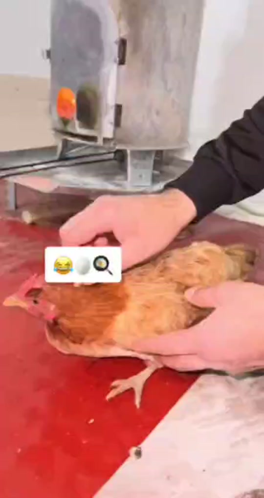 #fyp 7293926455556312326