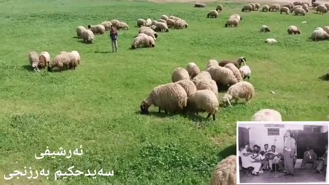TikTok video #7557629026920189192