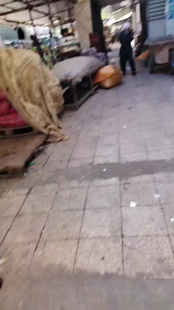 TikTok video #7501925153605963026