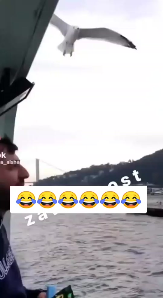 #fyp 7453114393782471954