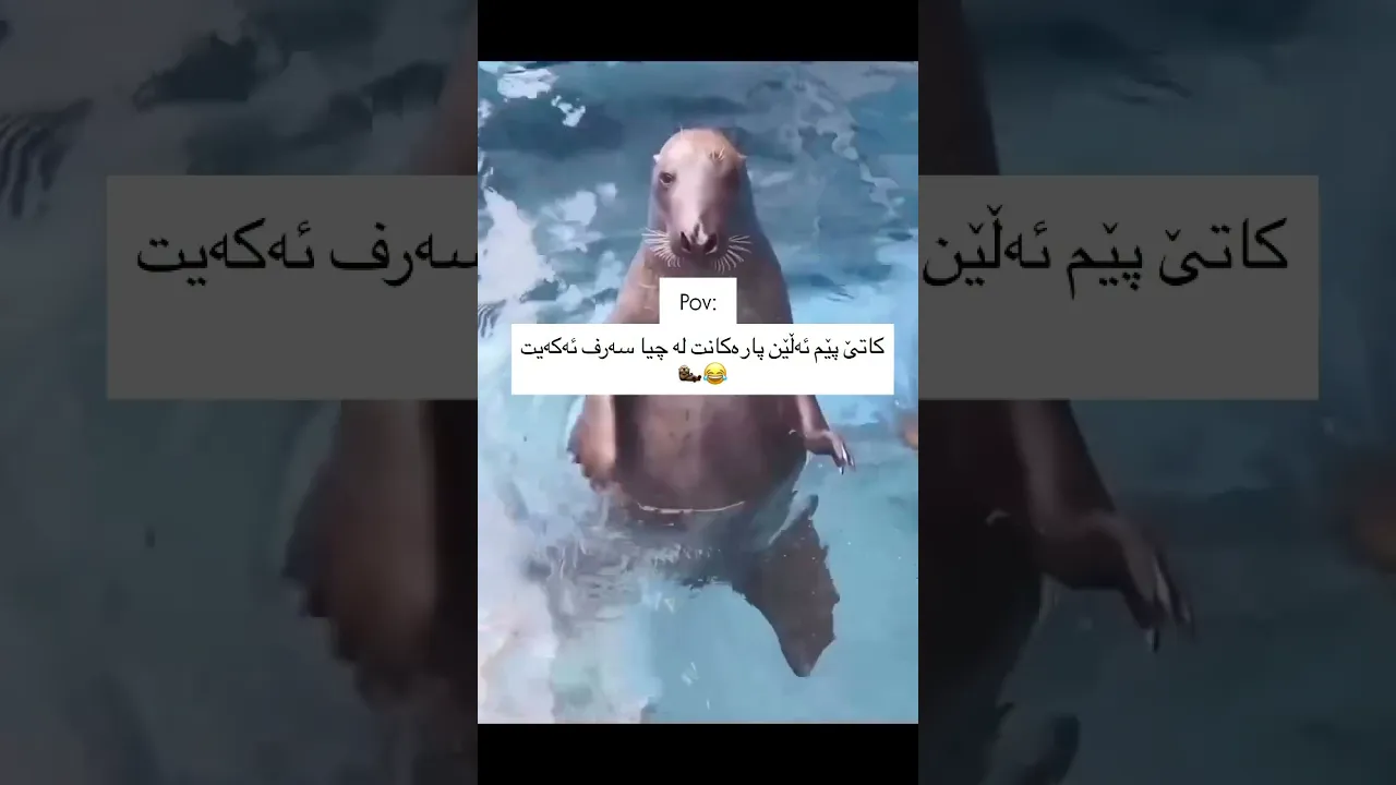 🦦😂d