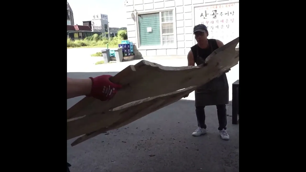 Sustainable Luxury： Automatic Door Built from Durable Zelkova Wood＂