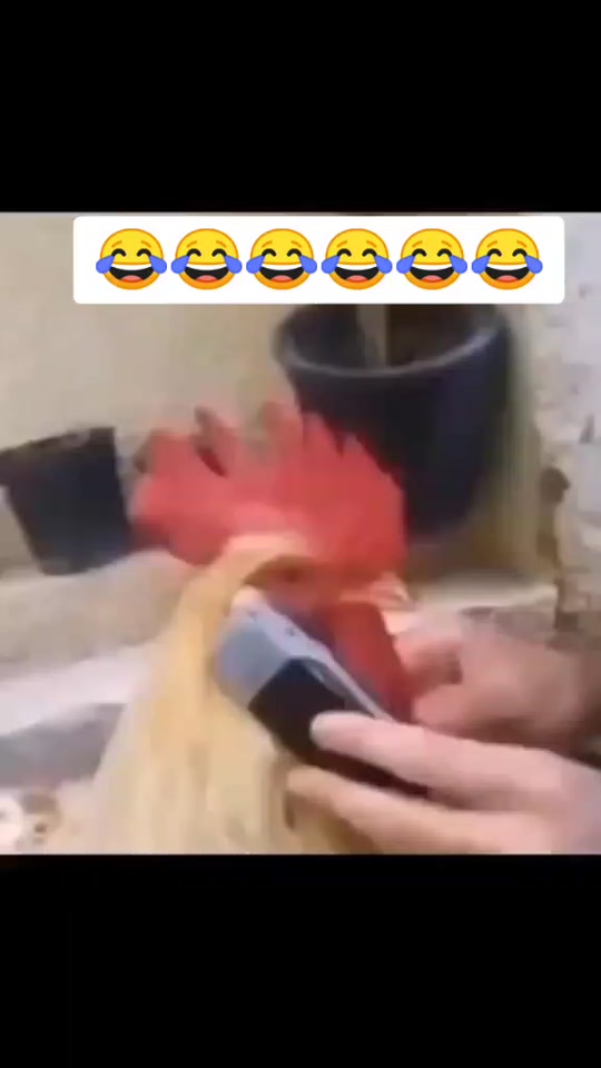 #fyp 7391535665059581192