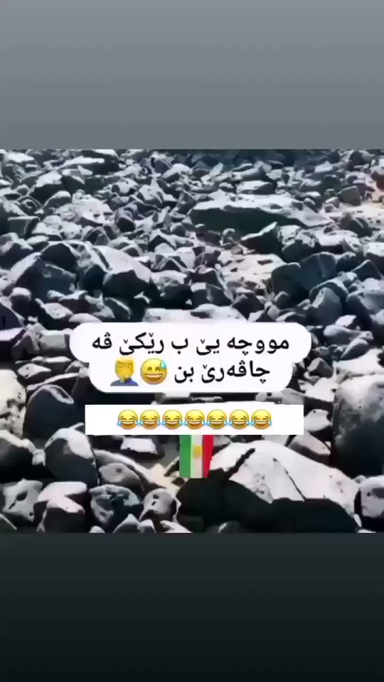 #fyp 7300289075473288454