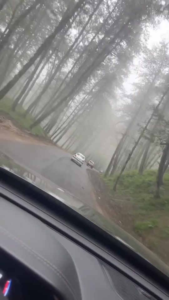 TikTok video #7263172112922201350