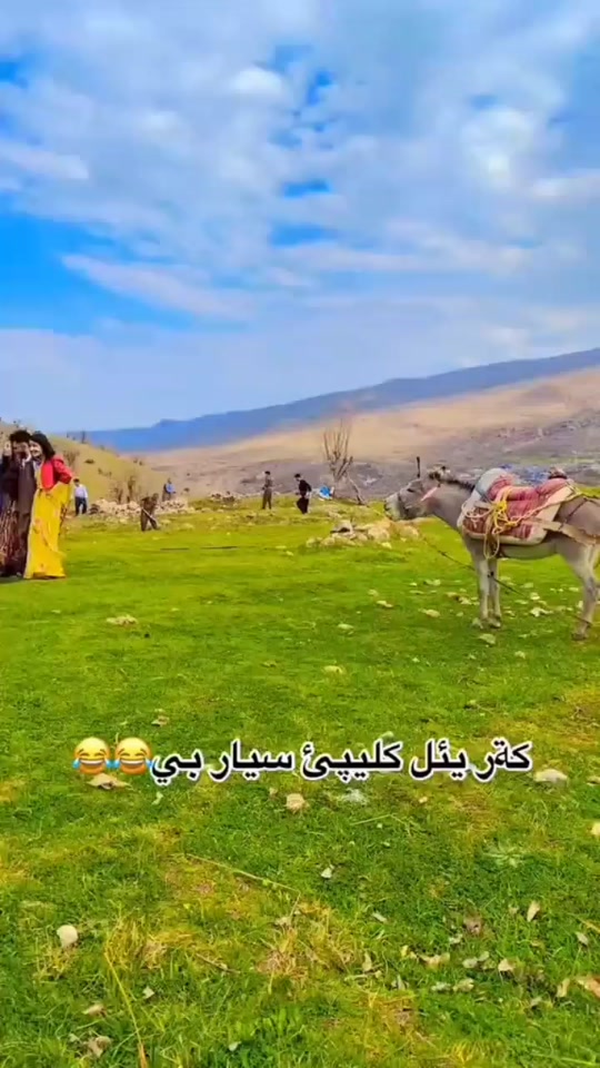 #fyp 7304221789222194437