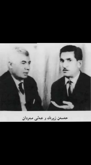حەسەن زیرەک حەسەن زیرەک هونەرمەندی گەلیکی بئ خوودان و بئ دەولەت بوو ...