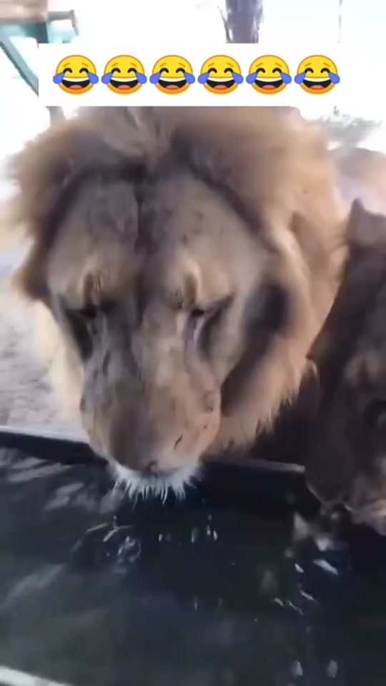 #fyp #fypage #furyou 7640568588948229394