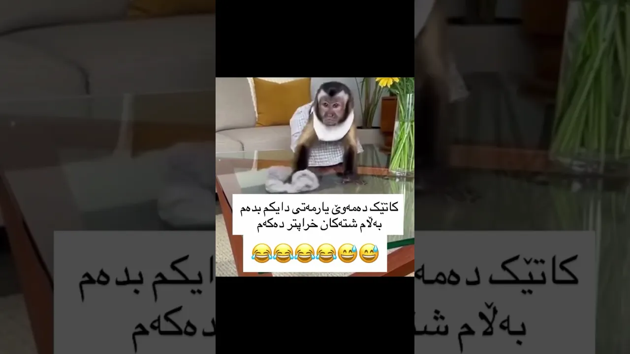 😂😅b