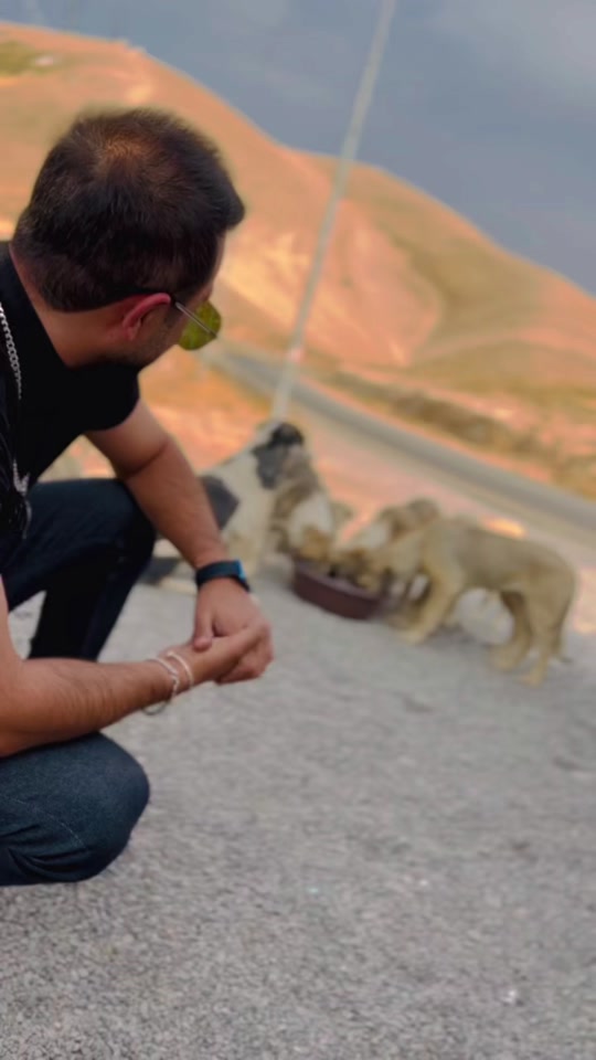 سڵاو بۆ هەمولایەک هیوام باشی و تەندروستی هەمولایەکتانە وەک لە فیدیو...