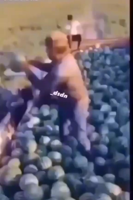 #fyp 7394119489895288072