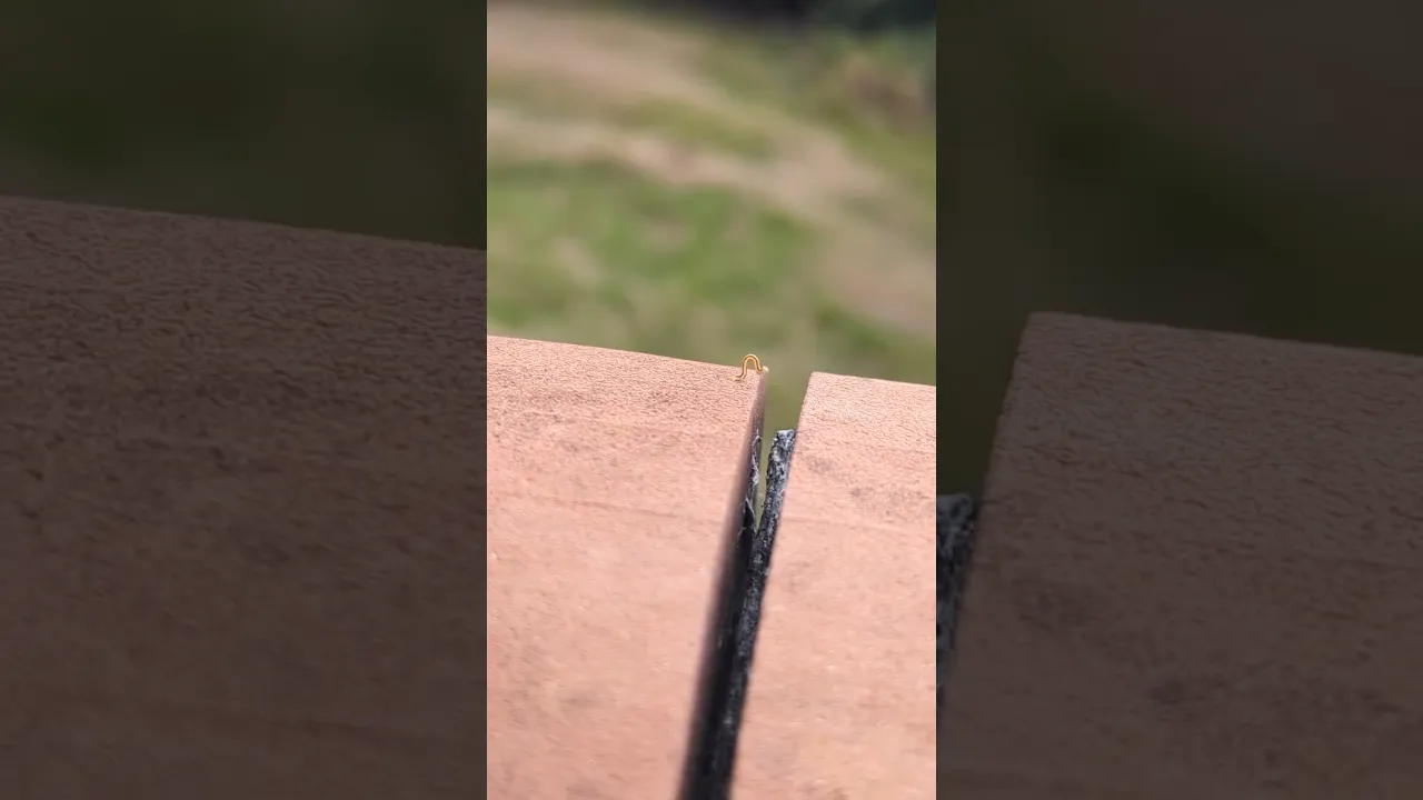 #inchworm #nature #animauxsauvages #animalfacts #animaux #birds #wildlife #animalplanet #shorts ❤️