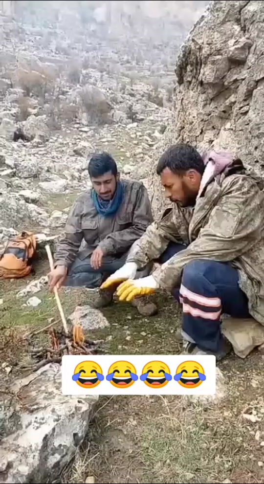 #fyp 7374238194725817618