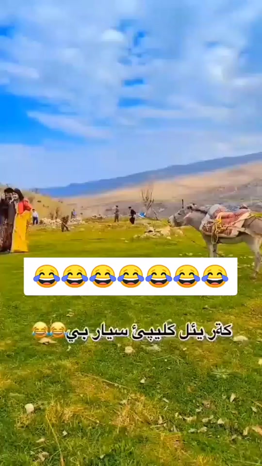 #fyp 7440144221253766418