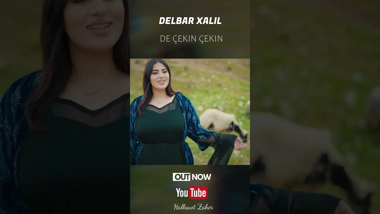 Delbar Xalil de çekin çekin