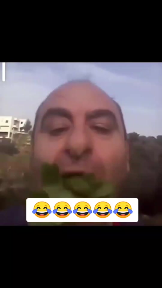 #fyp 7376547158704639250
