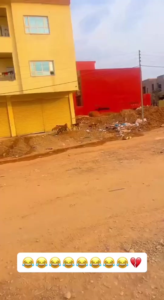 #fyp 7318367996299201797
