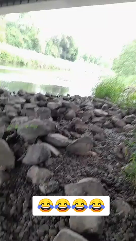 #fyp 7371112499111824647