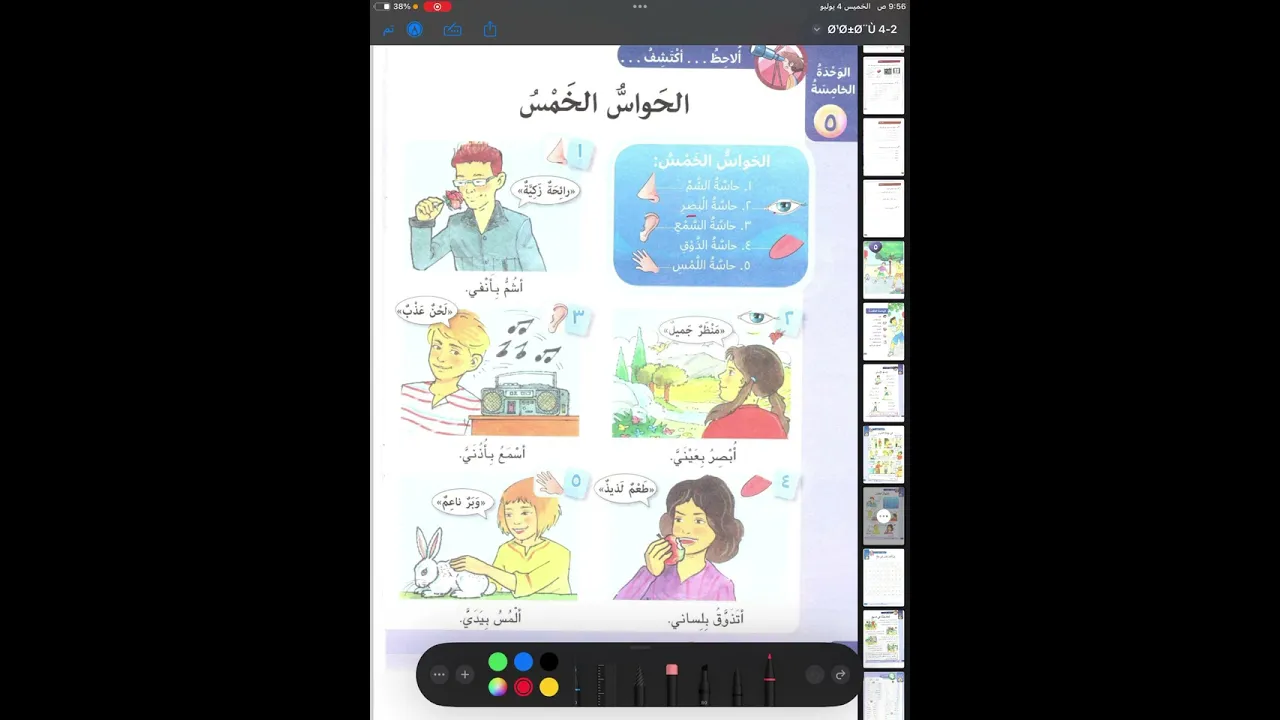 عەرەبی٤｜الحواس الخمس｜م.سندس｜الوحدة5
