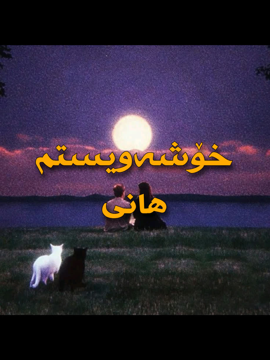 ＞ هانی (خۆشەویستم) ＜ . . #kurd #gorani #هانی #kurdistan #hani