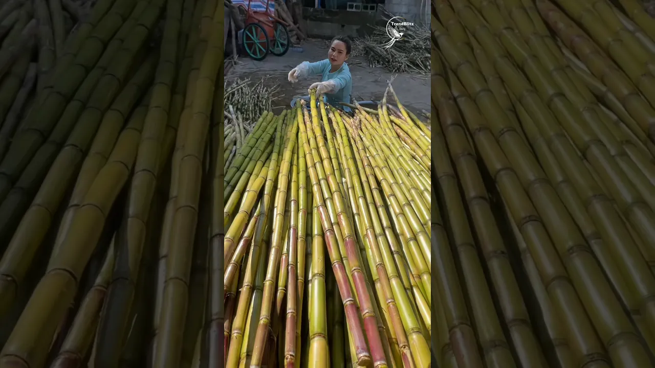 Handcrafted Pure Cane Brown Sugar Ready ｜ Traditional Process & Natural Sweet Flavor