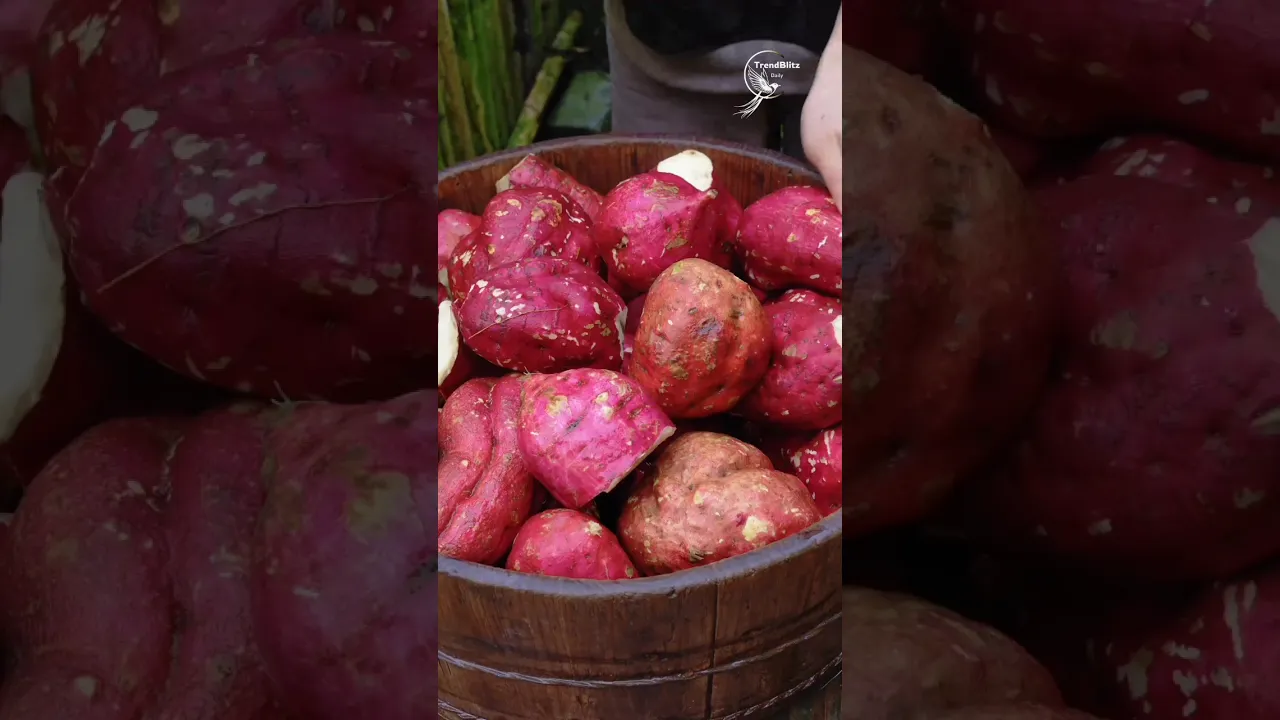 🌾 Timeless Sweet Potato Candy Tradition 🍯 Rustic Cooking & Childhood Memories