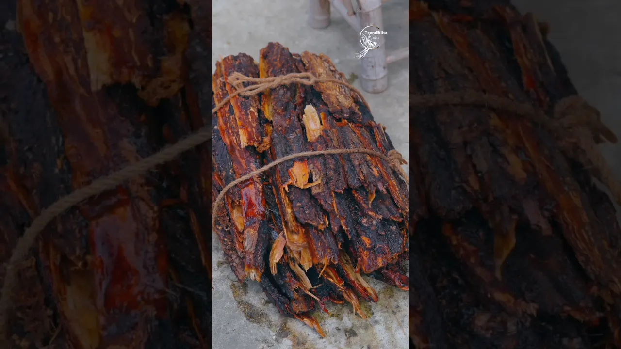 Pine Needle Aroma Craftsmanship ✦ Traditional Incense Making & Natural Home Fragrance