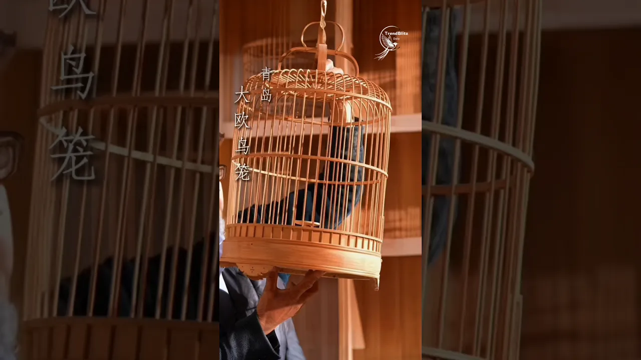 Spring Festival Elegance 🏮 Handcrafted Birdcage Art & Heritage Craftsmanship