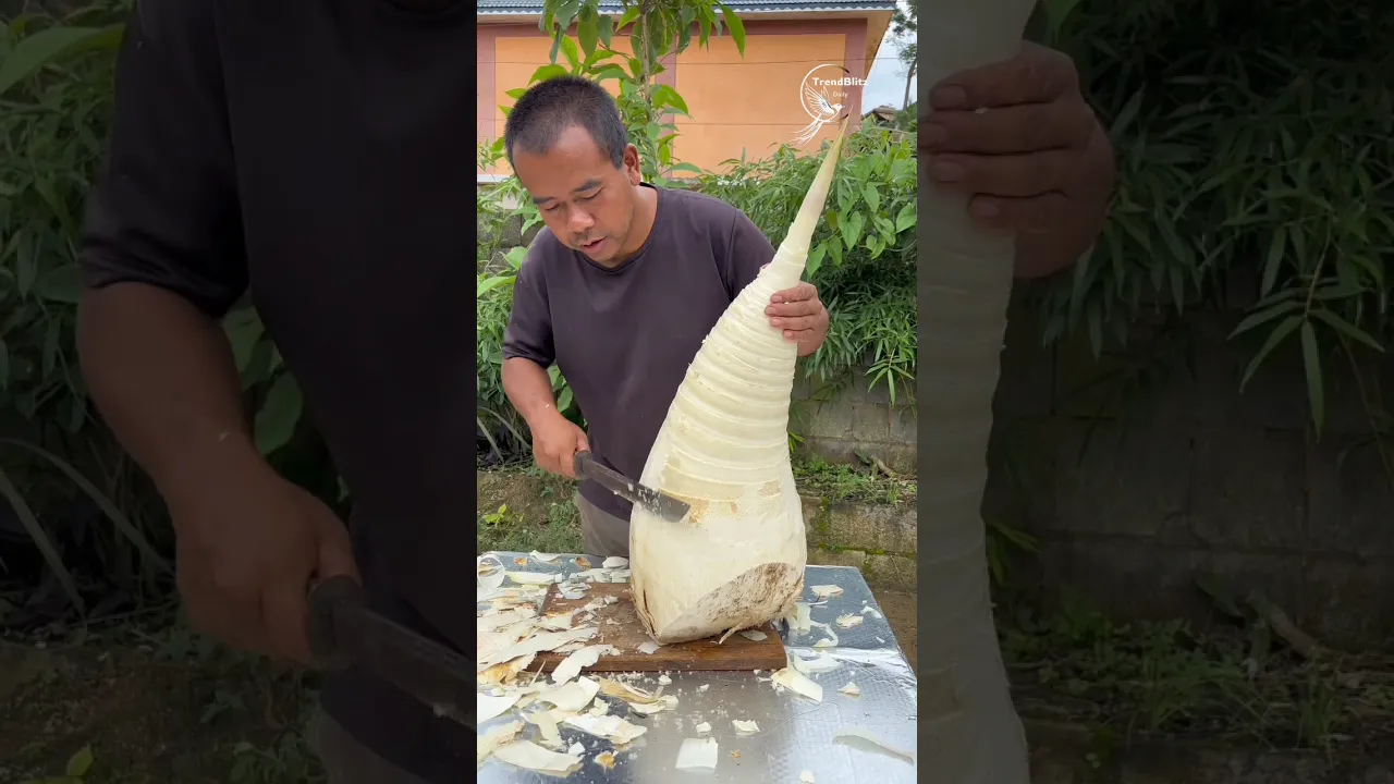 Giant Bamboo Shoot Pickles Village Process ｜ Traditional Bamboo Food Making Magic