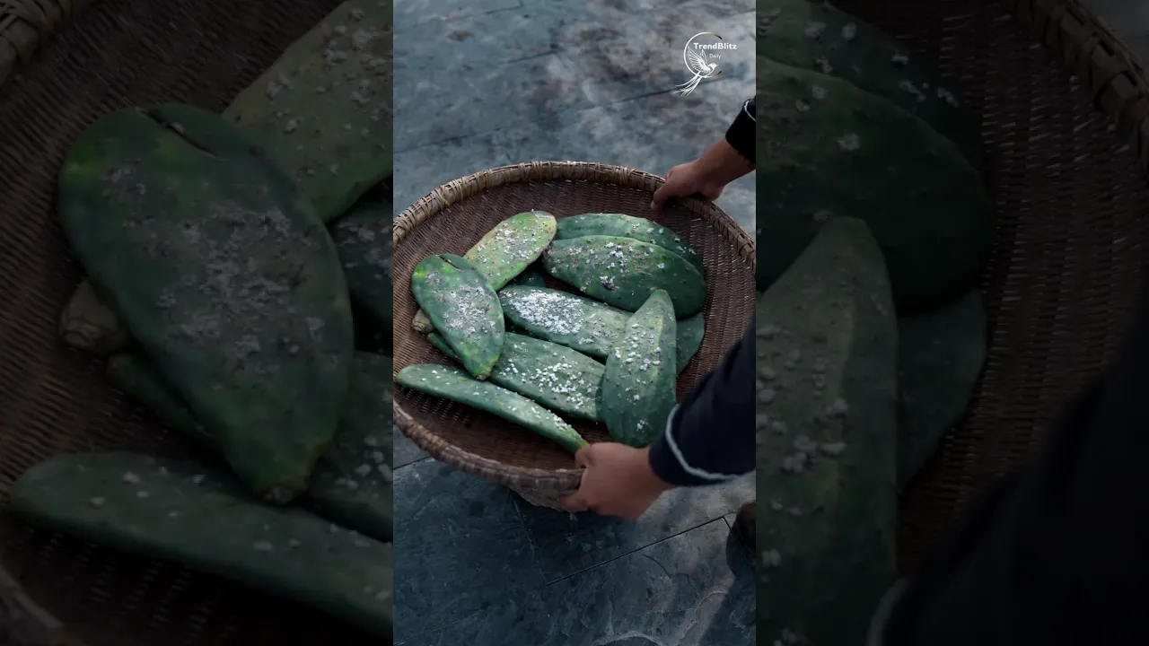 How Natural Red Pigment Is Made ｜ Cochineal Dye, Traditional Craft & Cultural Heritage
