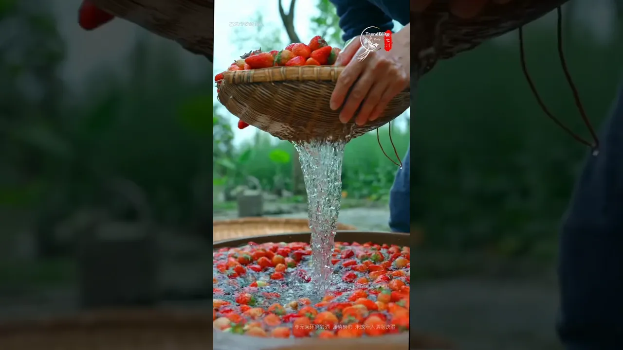 Slow Living & Strawberry Wine Making ｜ Rustic Cooking & Traditional Rural Life