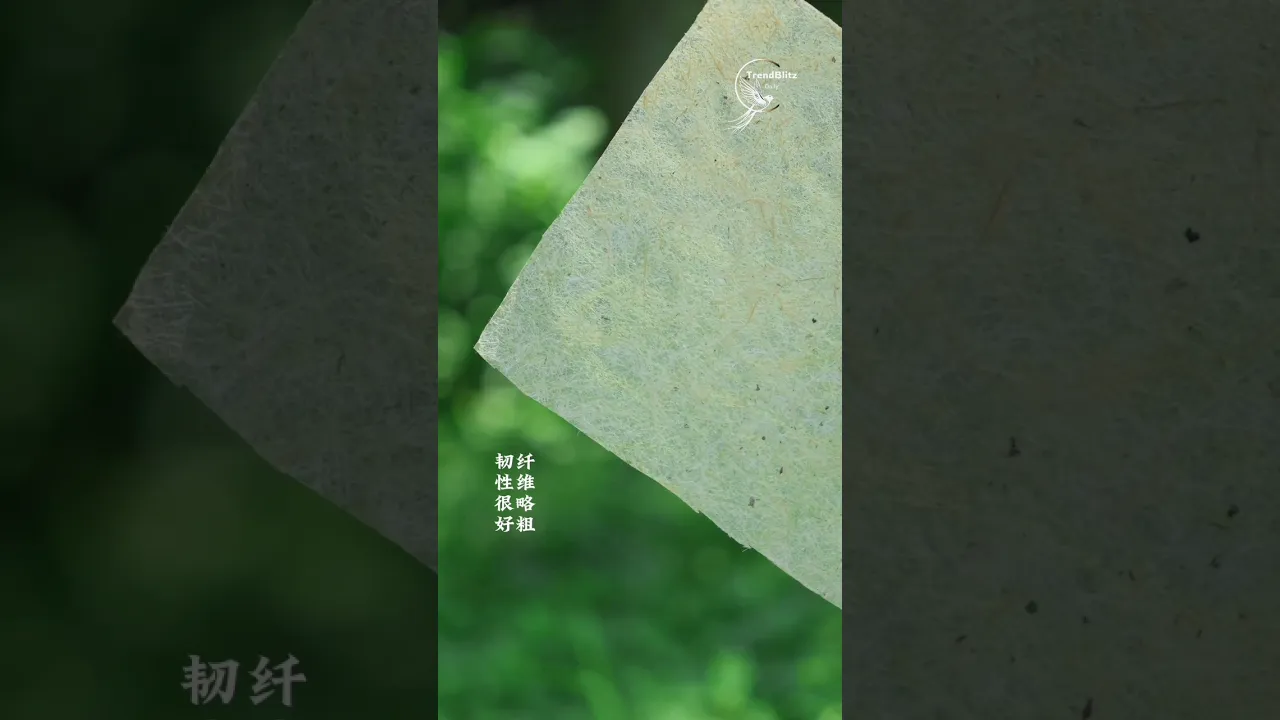 Ancient Corn Husk Paper Craft 🌾 Traditional Handmade Recycling Process Revealed