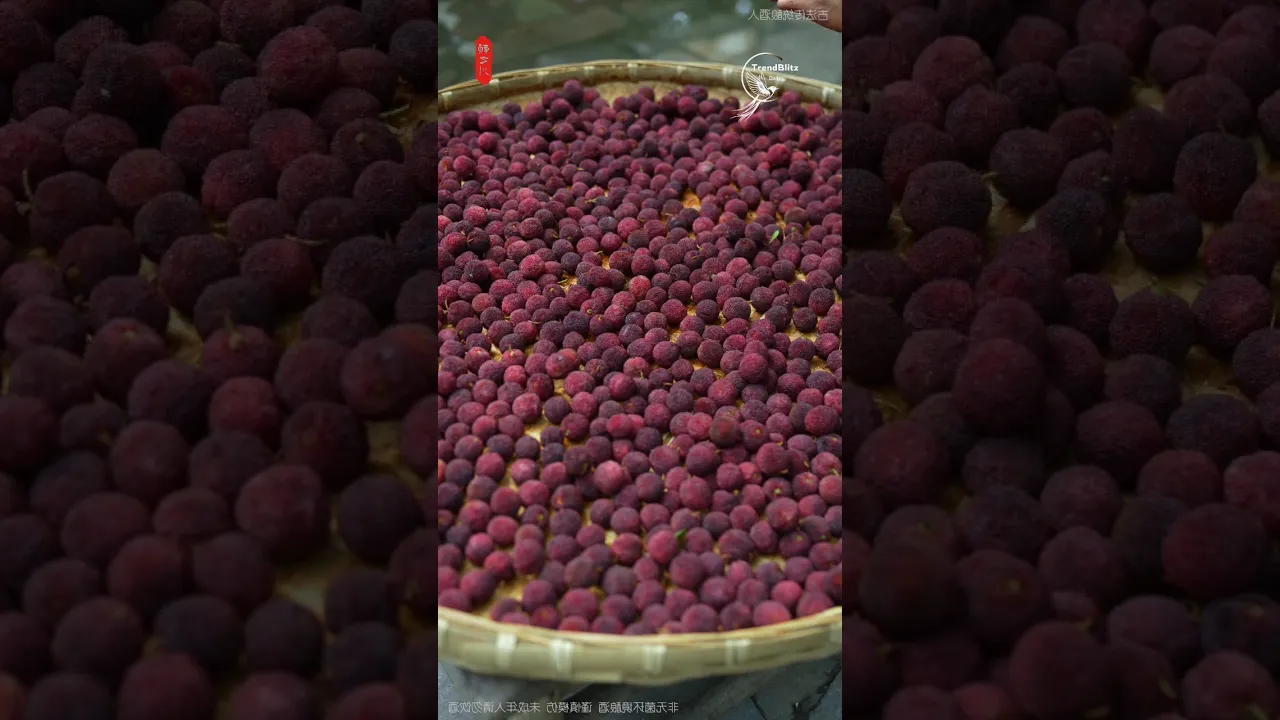 From Grandma’s Bayberry Soup to Homemade Wine ✨ A Taste of Summer Memories