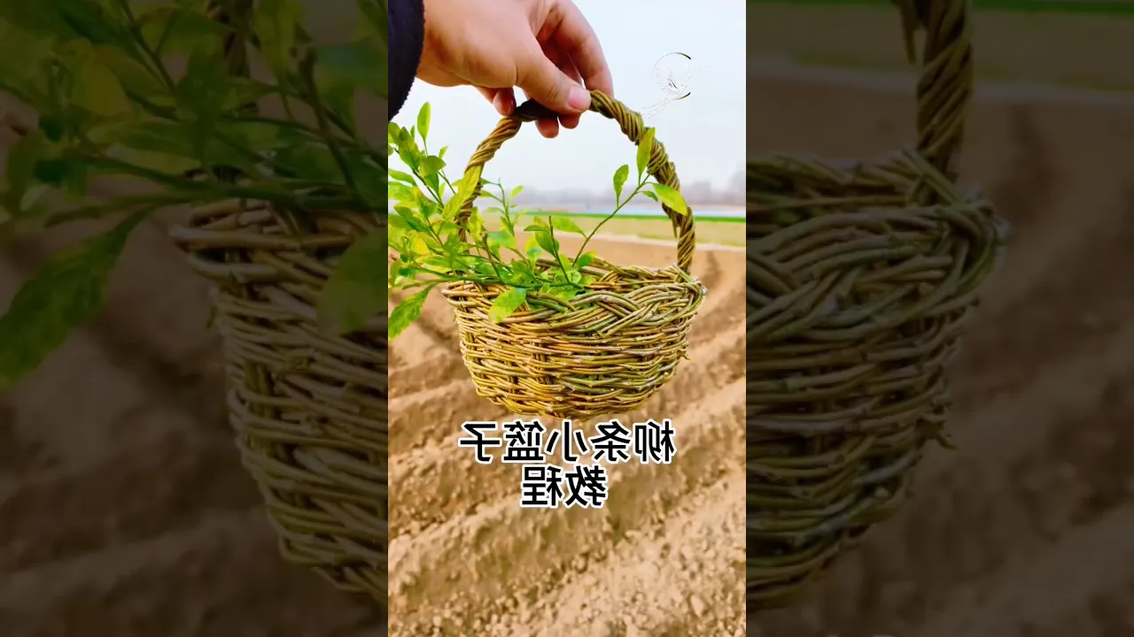Master Willow Basket Weaving for Kids ✨ Traditional Handmade Craft Tutorial