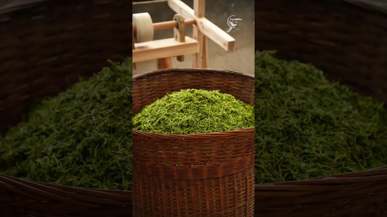 Hand Roasted Mountain Tea Mastery ☕ Traditional Craft from Fresh Leaf to Premium Brew