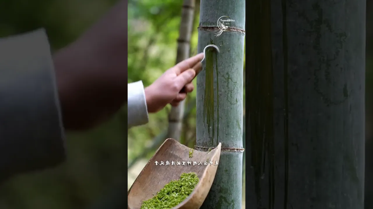 Bamboo Green Cake： Traditional Chinese Seasonal Dessert with Natural Ingredients