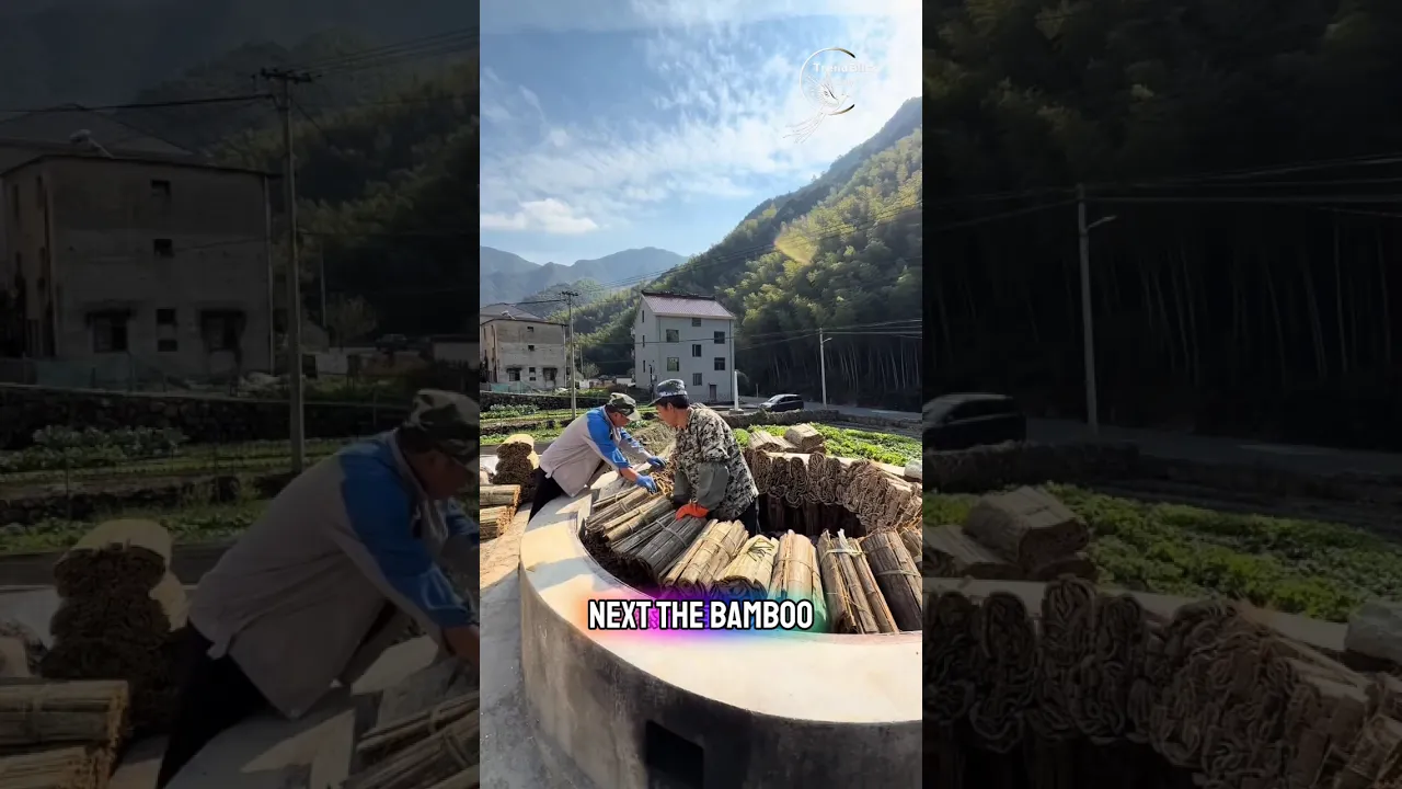 How Bamboo Is Turned Into Paper ｜ Sustainable Science & Eco Innovation Explained