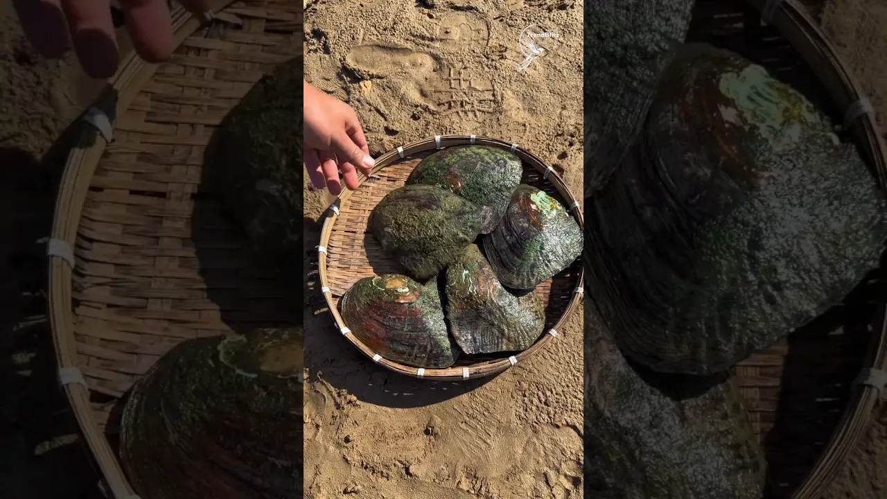 Traditional Herbal Tooth Powder Craft ｜ Pearl Inspired Texture & Ancient Cultural Wisdom