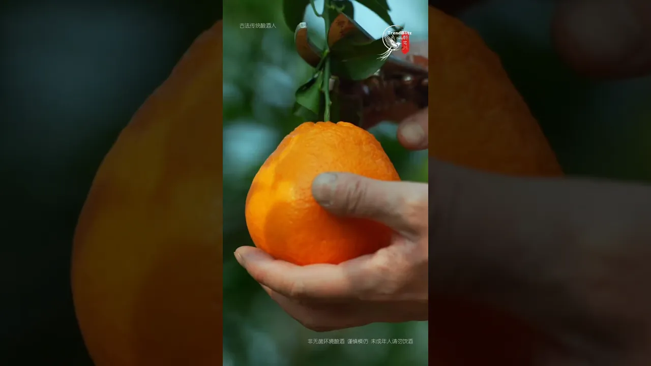 Baba Tangerine Brewing Story ｜ New Year Traditions, Rural Culture & Festive Flavors